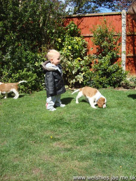2009-04-08 74L.JPG